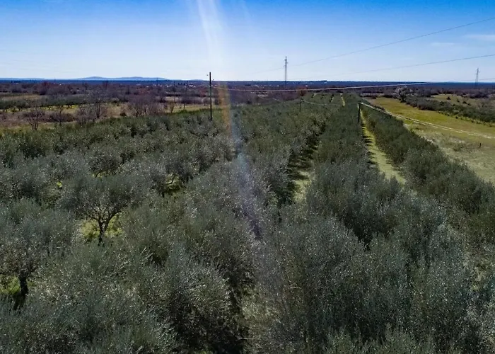 Vakantiehuis House Karaga *